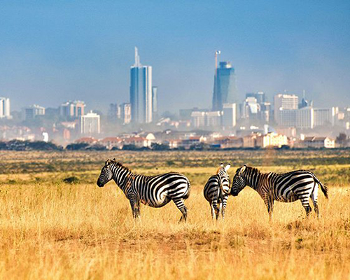 nairobi-national-park-day-tour