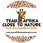 Team Africa